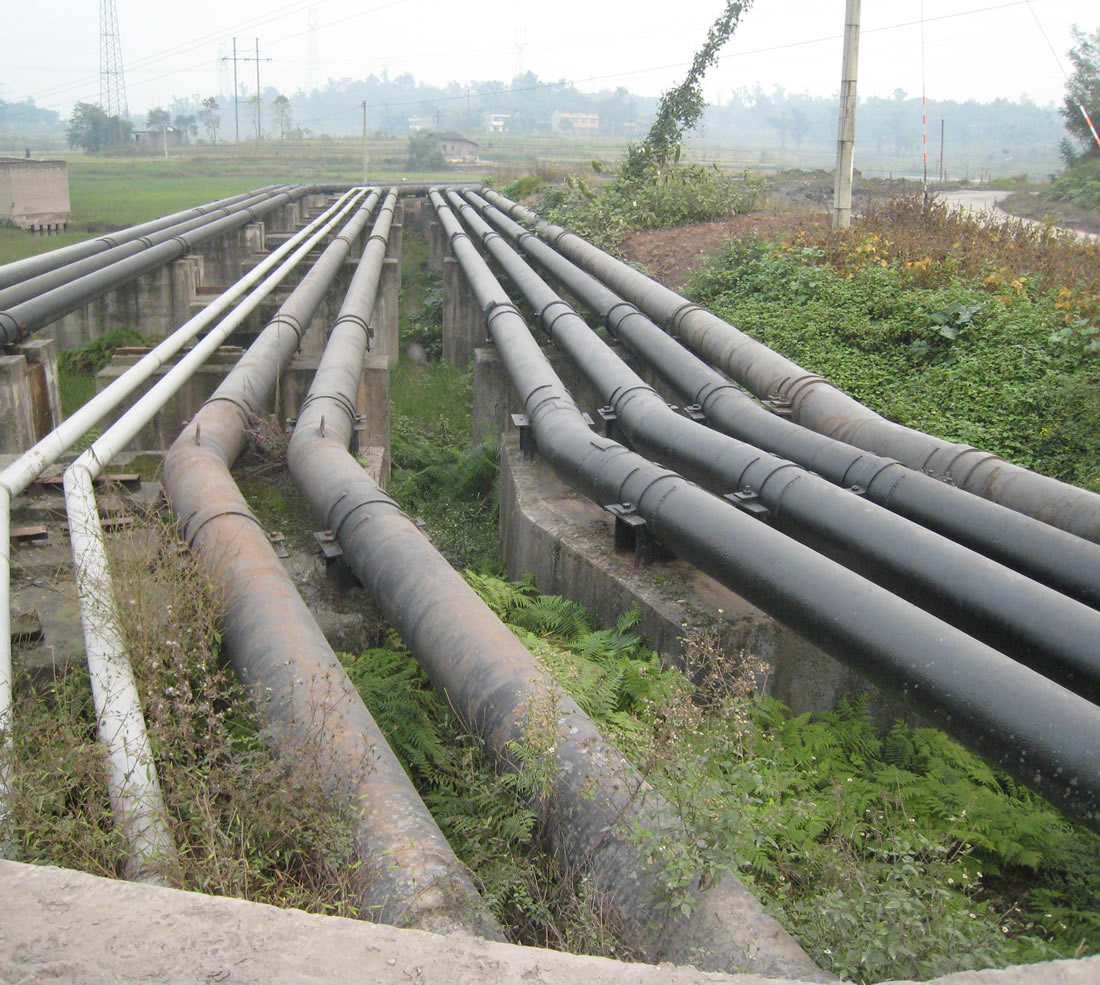 20220802103354_25504