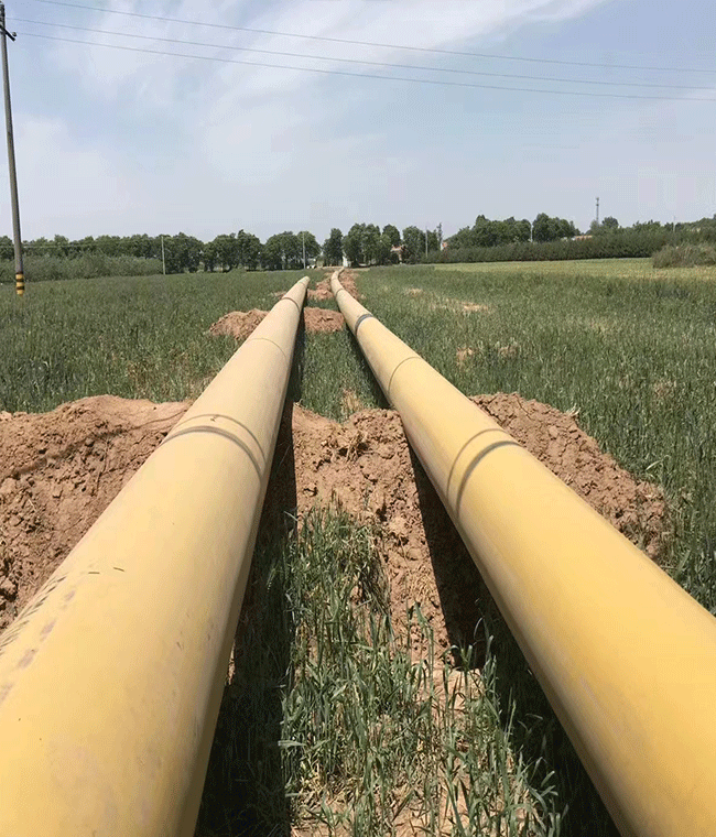 首页- F66永乐国际集团官方网站