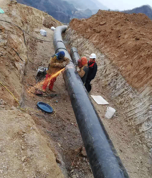 首页- F66永乐国际集团官方网站