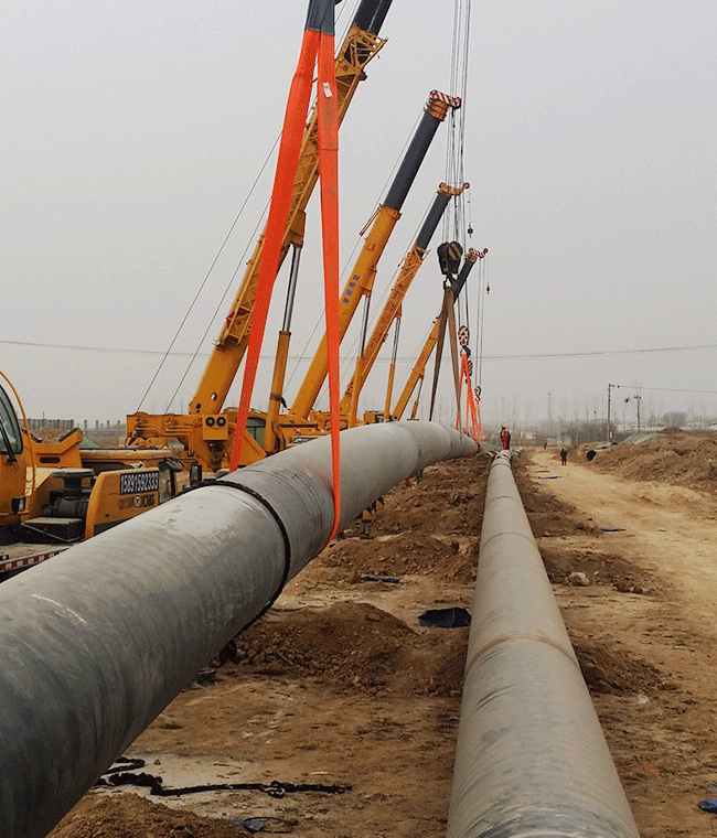 首页- F66永乐国际集团官方网站